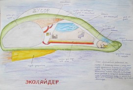 Эколайдер