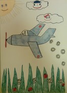 Экологический самолёт